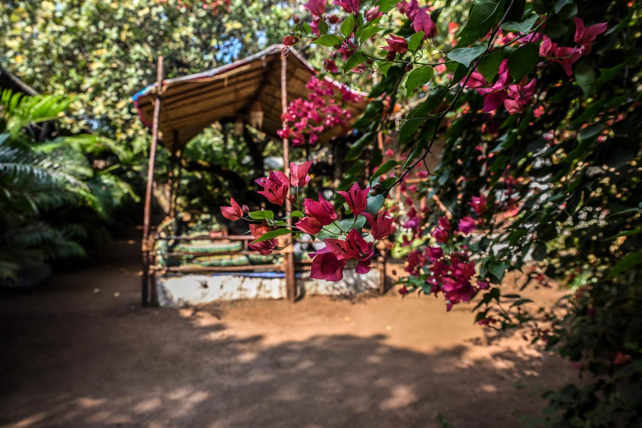 Rudra Holidays Guest House Arambol Exterior foto